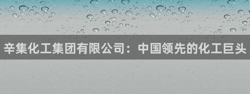 球盟会在线网站：辛集化工集团有限公司：中国领先的化工巨头