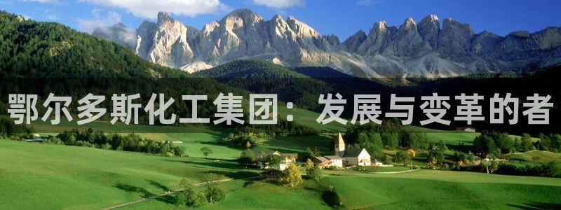 球盟会电子游戏平台：鄂尔多斯化工集团：发展与变革的者