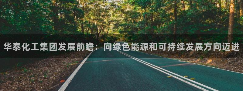球盟会中国网页登录：华泰化工集团发展前瞻：向绿色能源和可持续
