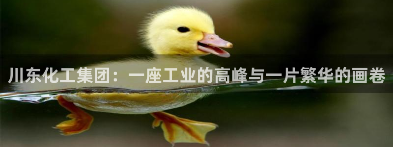 球盟会登录网址：川东化工集团：一座工业的高峰与一片繁华的画卷