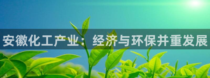球盟会官方网站：安徽化工产业：经济与环保