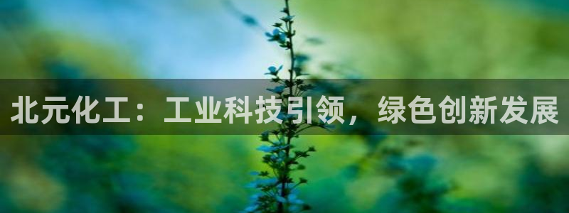 球盟会网址qm9 - 球盟会qmh网页版登录