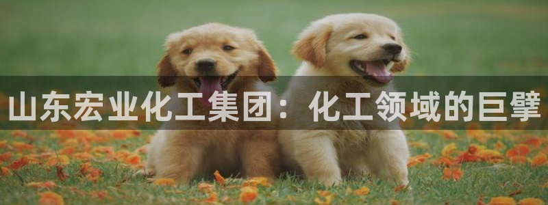 球盟会黑款吗是真的吗