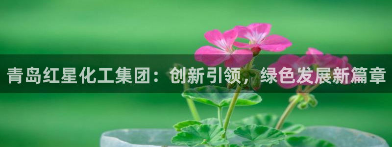 球盟会娱乐平台：青岛红星化工集团：创新引领，绿色发展新篇章