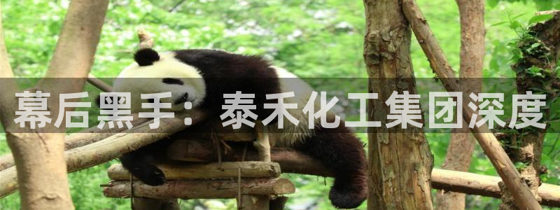 球盟会能退钱吗现在