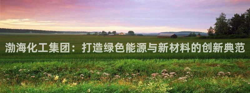 球盟会网址qm9 - 球盟会qmh网页版登录：渤海化工集团：