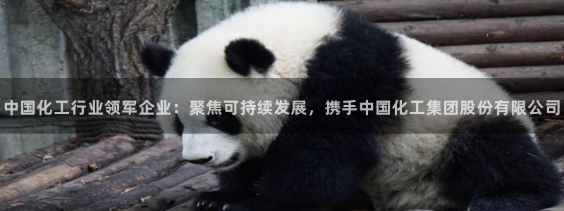 球盟会能提现吗安全吗：中国化工行业领军企