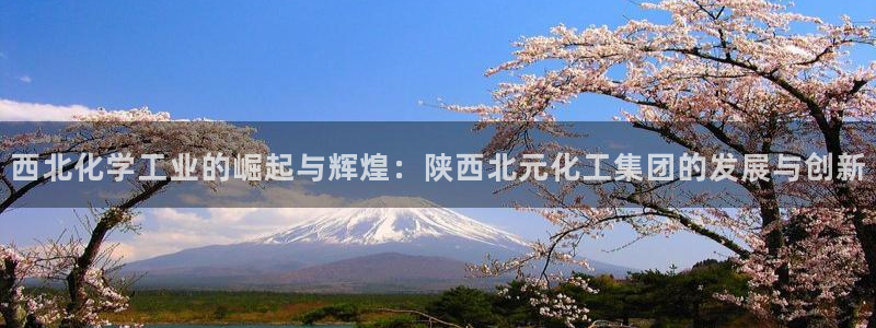 球盟会app最新地址下载安装：西北化学工业的崛起与辉煌：陕西