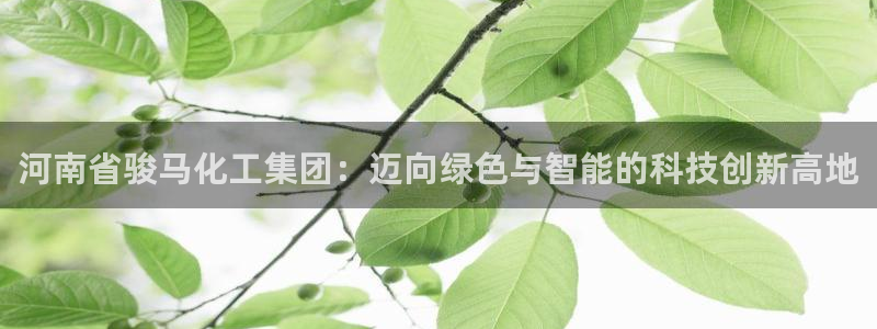 球盟会app安装：河南省骏马化工集团：迈