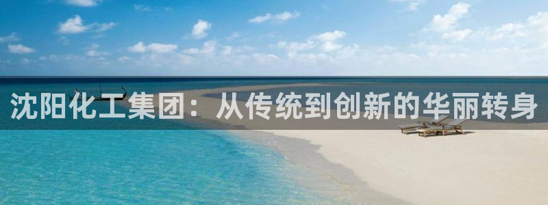 球盟会黑台子吗：沈阳化工集团：从传统到创