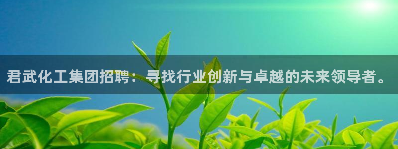 球盟会在线官网：君武化工集团招聘：寻找行业创新与卓越的未来领