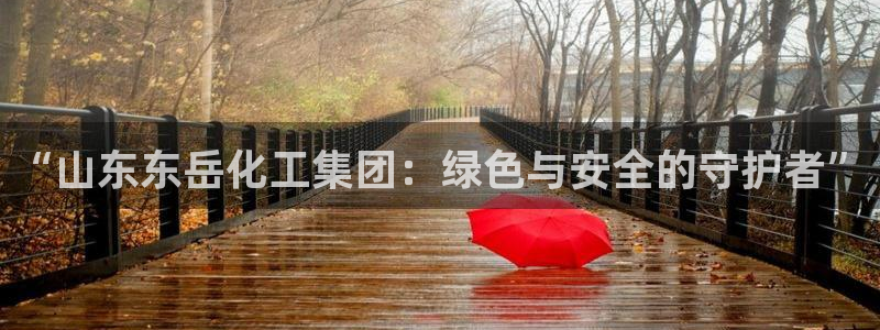球盟会App：“山东东岳化工集团：绿色与安全的守护者”