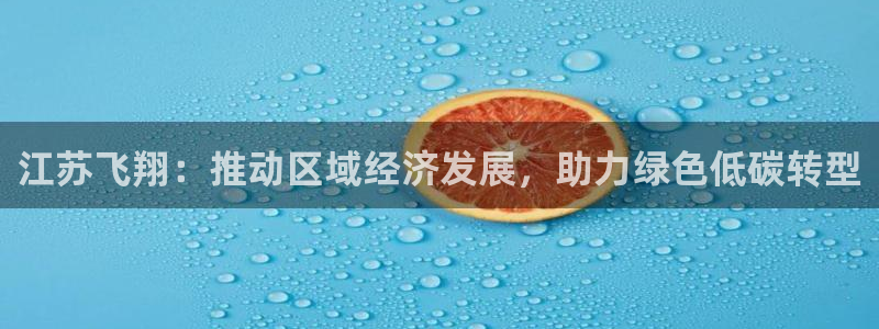 球盟会官网网页版：江苏飞翔：推动区域经济