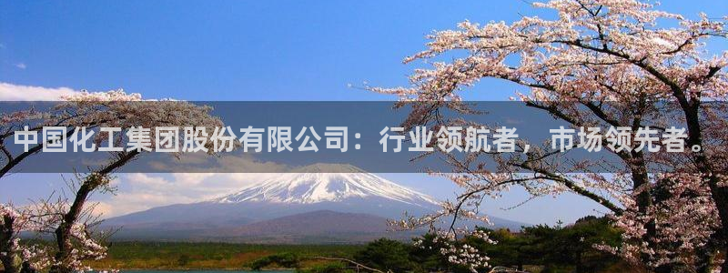 球盟会app：中国化工集团股份有限公司：