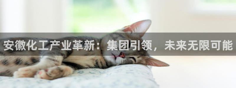 球盟会最新地址备用