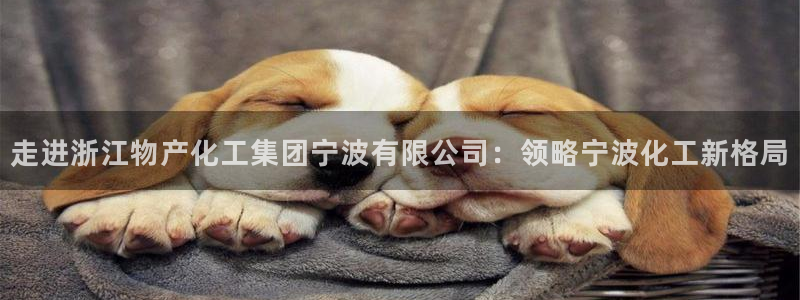 球盟会官方网入口