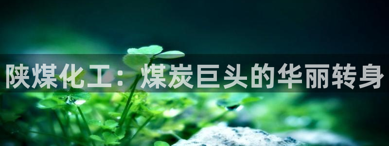 球盟会登录入口