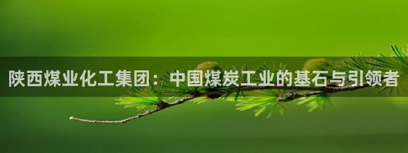 球盟会和中欧会的区别：陕西煤业化工集团：