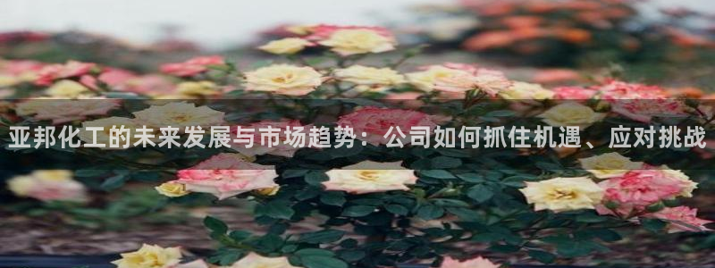 球盟会官方网入口：亚邦化工的未来发展与市场趋势：公司如何抓住