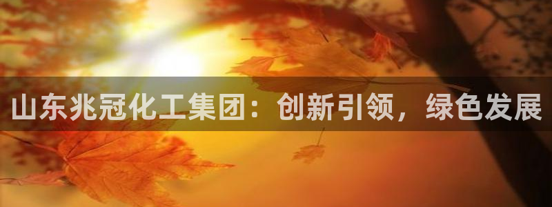 球盟会用的客服聊天是哪个软件：山东兆冠化