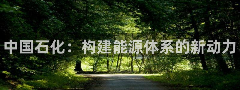 球盟会有没有黑单的活动：中国石化：构建能源体系的新动力