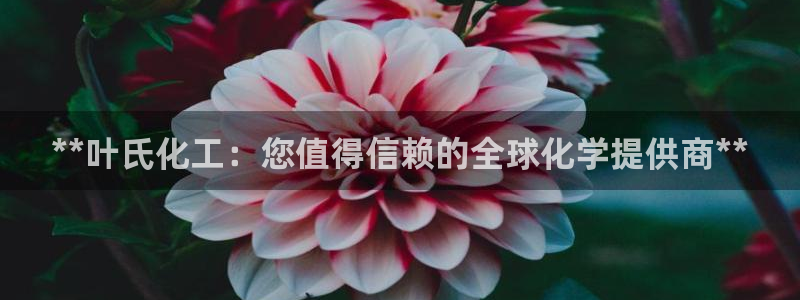 球盟会有没有黑单的：**叶氏化工：您值得信赖的全球化学提供商