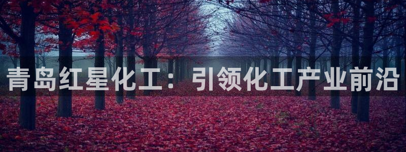 球盟会国际官网