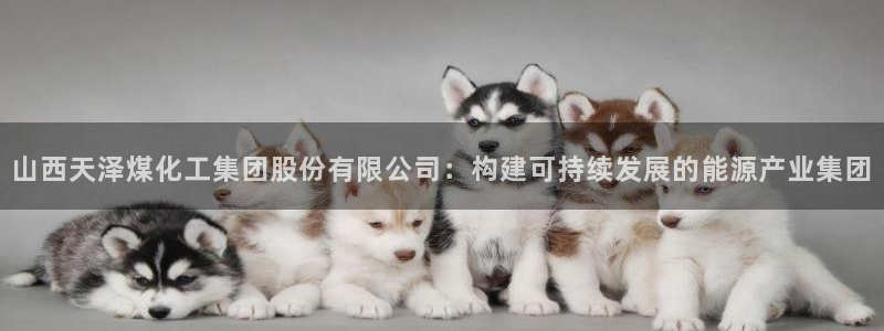 球盟会网页登录：山西天泽煤化工集团股份有