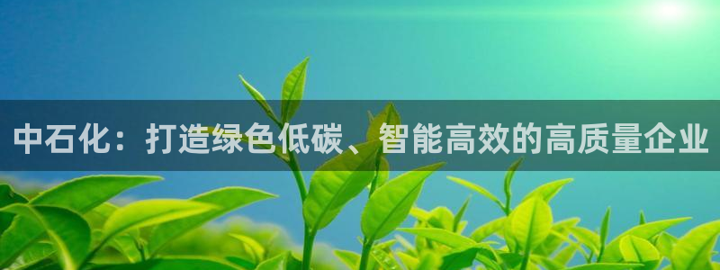 球盟会黑款吗还是白款