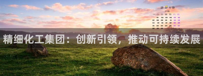 球盟会连接：精细化工集团：创新引领，推动可持续发展