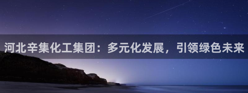 球盟会黑款吗是真的吗：河北辛集化工集团：