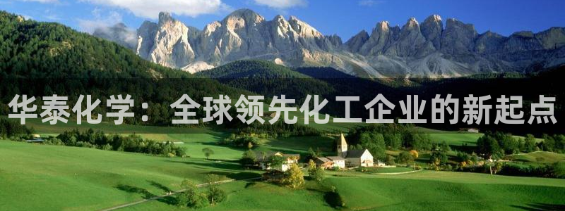 球盟会有没有黑单的：华泰化学：全球领先化