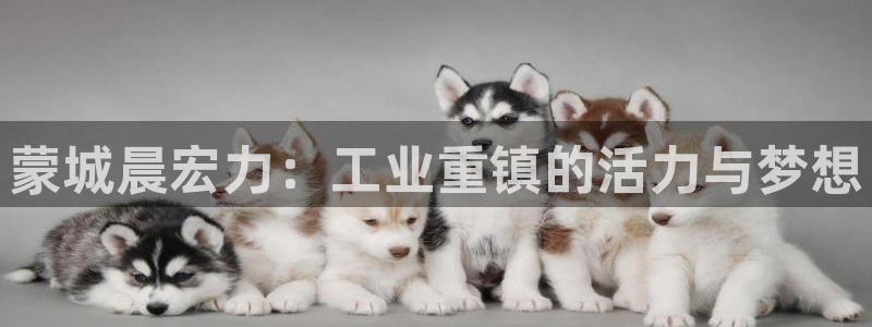 球盟会头号玩家是谁：蒙城晨宏力：工业重镇的活力与梦想