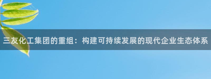 球盟会官方网站入口：三友化工集团的重组：