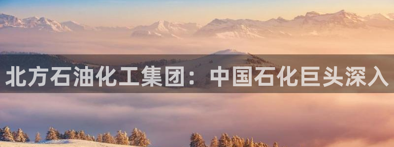 球盟会有没有黑单的活动