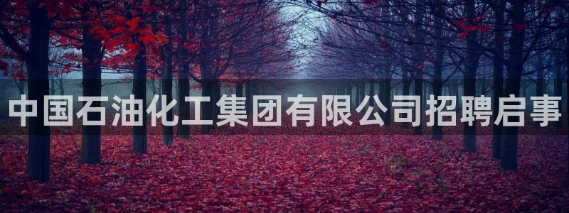 球盟会：中国石油化工集团有限公司招聘启事