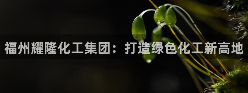 千亿球盟会：福州耀隆化工集团：打造绿色化工新高地