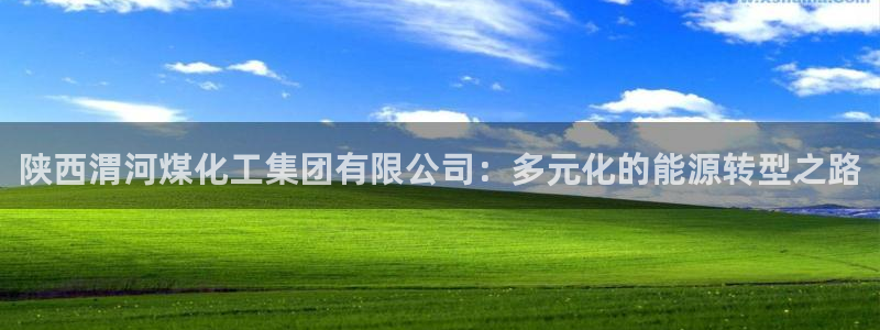 球盟会在线登录：陕西渭河煤化工集团有限公