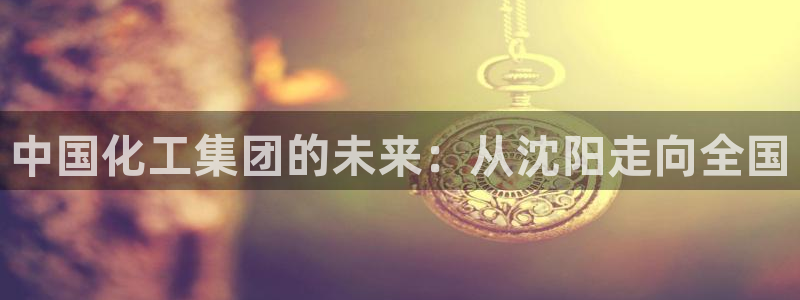 球盟会头号玩家：中国化工集团的未来：从沈