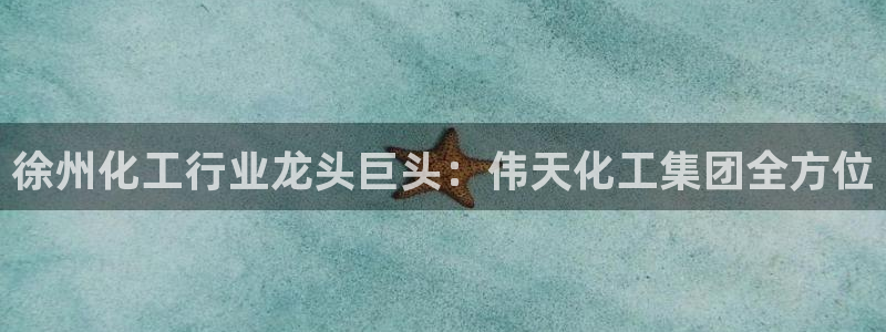 球盟会进不去吗：徐州化工行业龙头巨头：伟