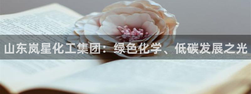 球盟会体育平台：山东岚星化工集团：绿色化